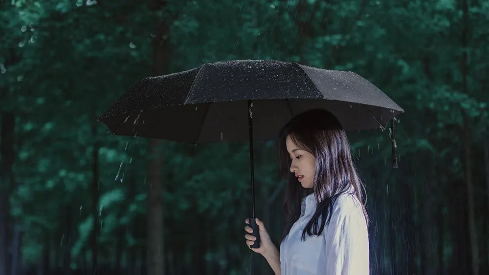 Xiaomi Mijia Automatic Sunny Rainy Umbrella Aluminum Windproof Waterproof UV Umbrella Man woman Summer Winter (14)