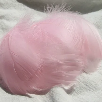 Pink 100pcs