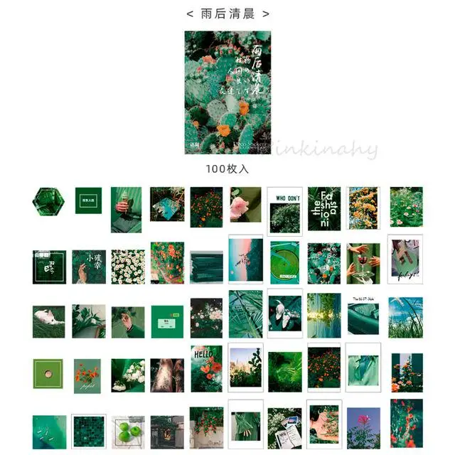 100 шт./упак., модная бабочка цветочный узор материал украшения ретро-наклейка Скрапбукинг девушка бизнес планирования школьные принадлежности канцелярские товары - Цвет: 6