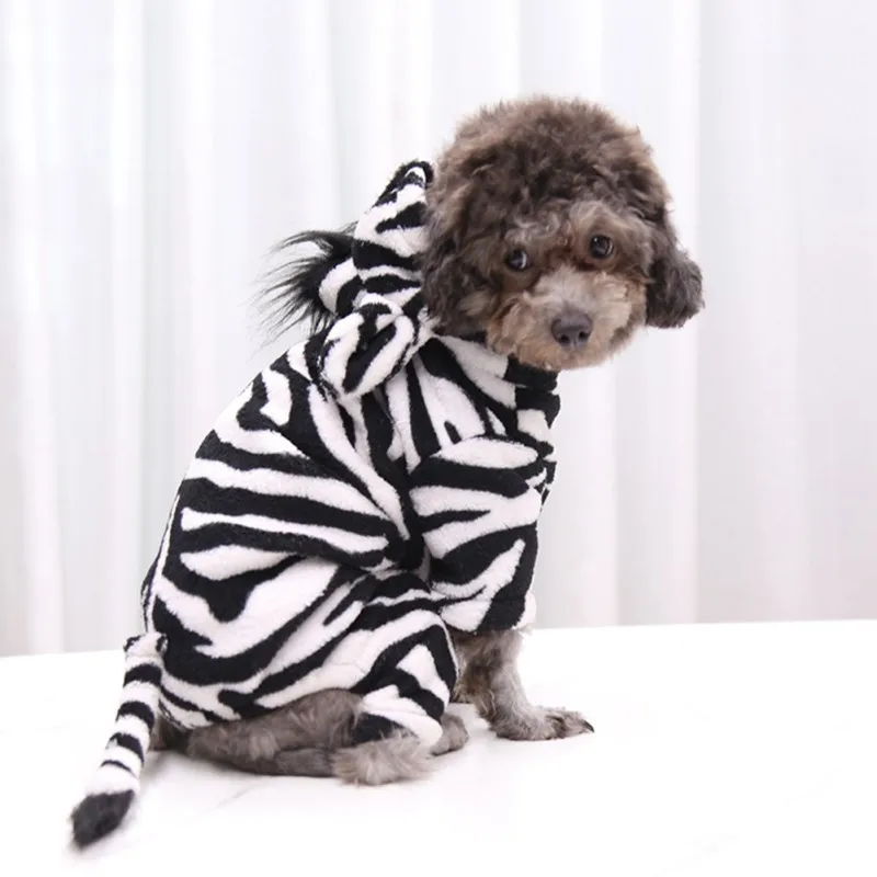  dogs in Halloween costumes