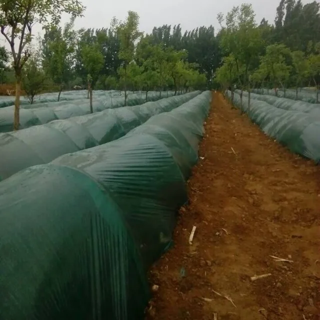 5 ~ 50 M Szélesség: 1M Zöld Film Mezőgazdasági Üvegházhatású Zöldség Gyömbér Ültetése Mulch Fiatal Növények Gondozás - Image 6