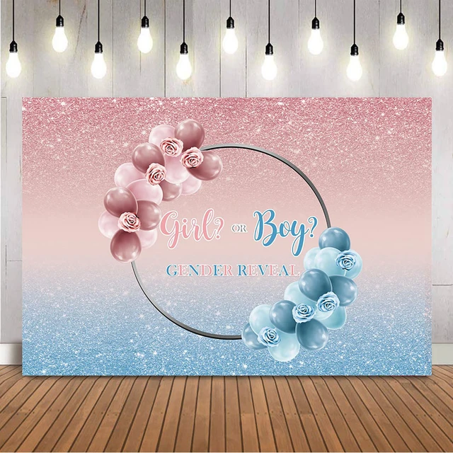 Gender Reveal Party Decorations, Backdrop Banner, Cake Toppers, Balloons  for Baby Shower, Pink and Blue, Boys or Girls - AliExpress