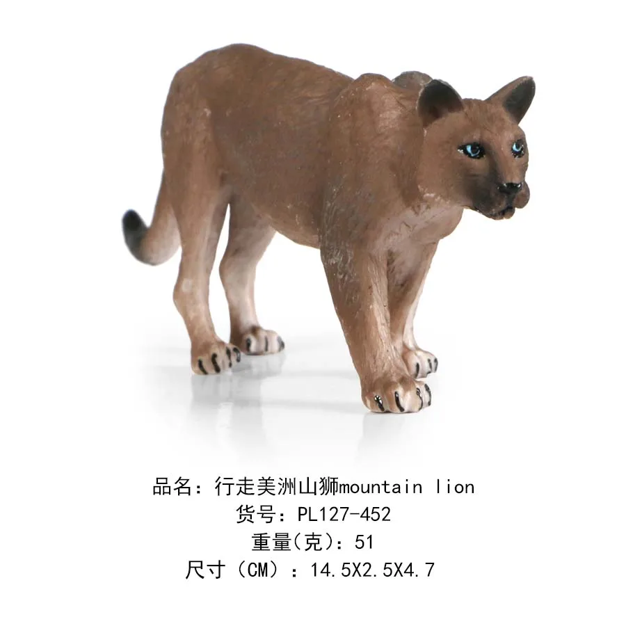 行走美洲山狮mountain lion-452