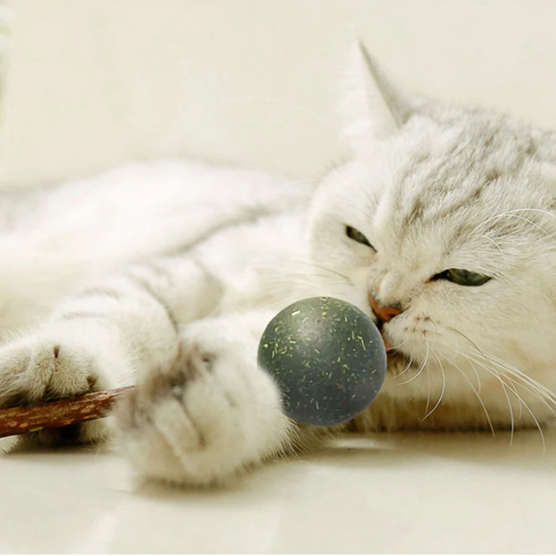 2 шт./компл. Pet Cat Натуральная кошачья мята мяч для игры милость дома погоня игрушки вкусные леденцы Catnip мяч и Silvervine палка