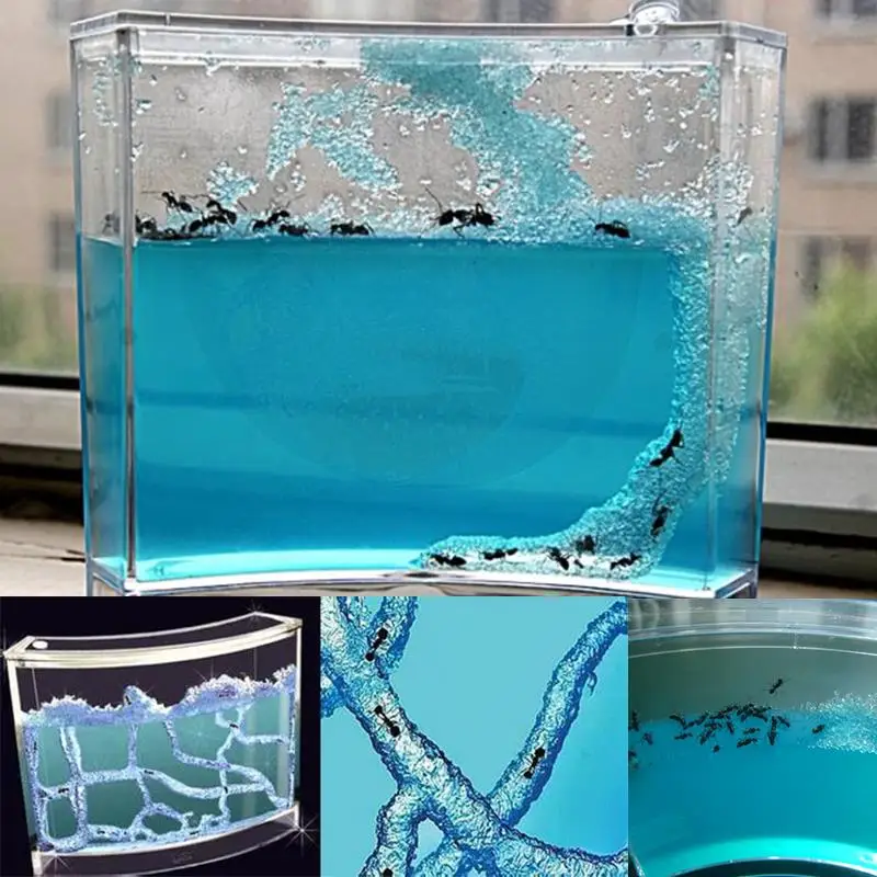 Принадлежности для домашних животных муравьиная ферма Муравьиное Гнездо дом