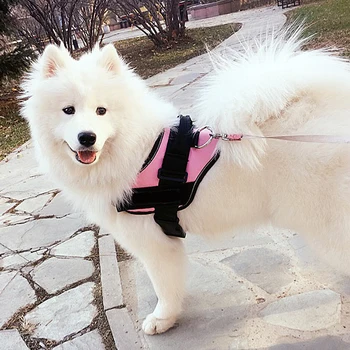 

Pet supplies Large and medium-sized dogs Walk the dog nylon Dog Harness with Front Clip Walking Pet Harness AA001
