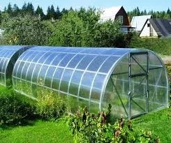 

Arched greenhouses
