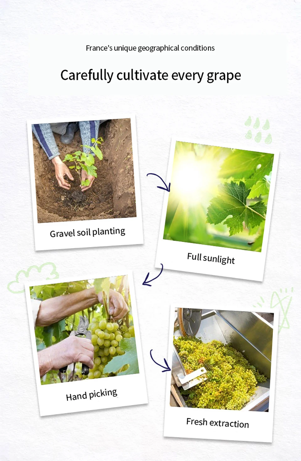 禾博士葡萄籽芦荟软胶囊原花青素精华维E多酚成人女性肌肤增免疫_06