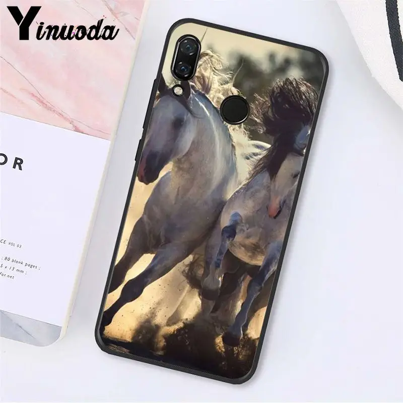 Running Horse Animal