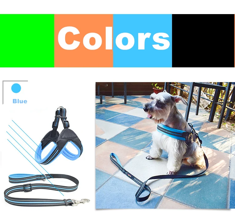 12315750326_1026663116