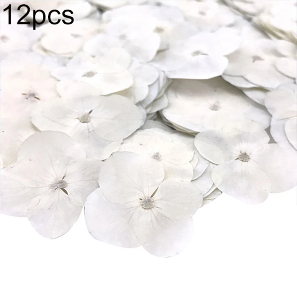 12Pcs Natural Pressed Decorative Dried Flowers Dried Flower Petals Artificial Flowers DIY Phone Case Party Wedding Decoration