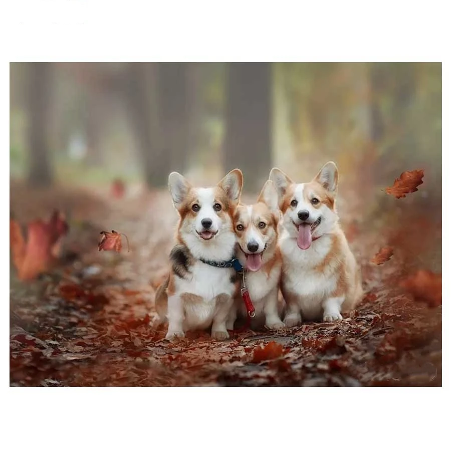 5D DIY Diamond Painting Welsh Corgi Dog Diamond Embroidery Dog Full Drill Mosaic Rhinestone Cross Stitch Wall Sticker Home Decor_副本
