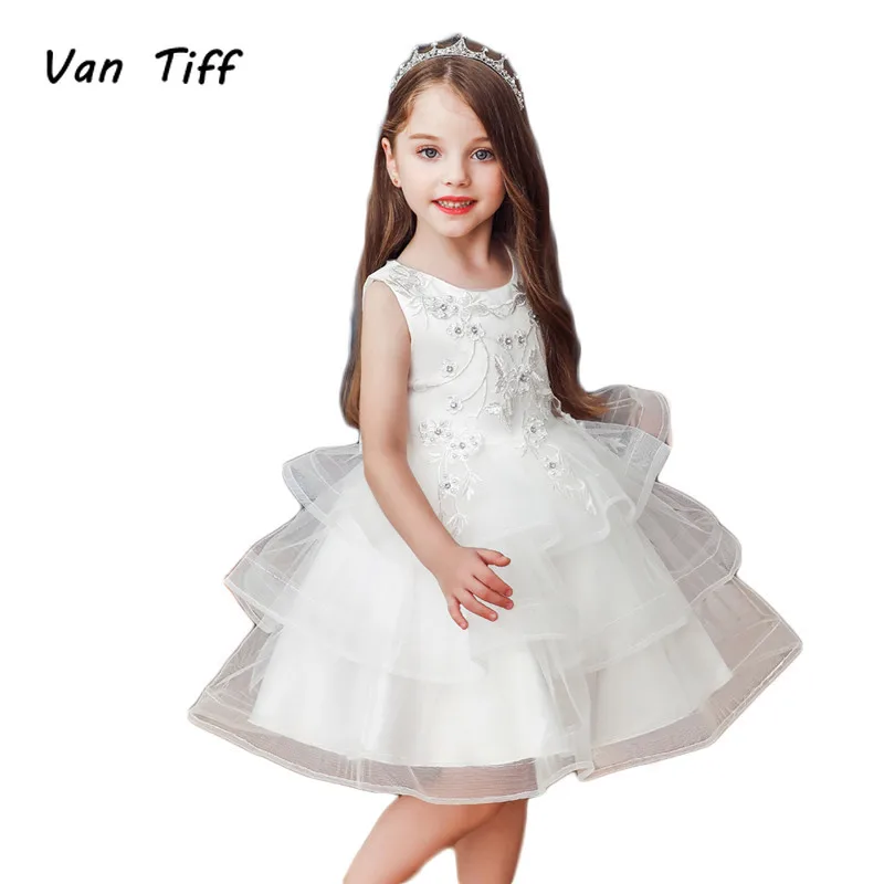 

Princess Dress Girls Costume Princess Children Princess Birthday Dress Multi-layer Embroidered Ball Gown Wedding Princess Dress