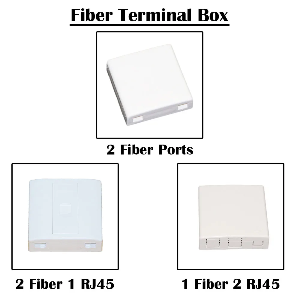 2 Fiber Ports