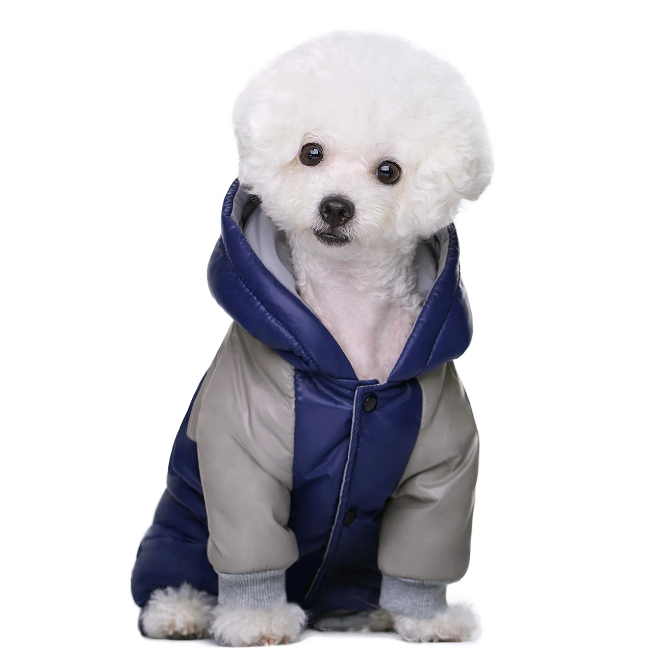 Dog clothes on clearance Clearance