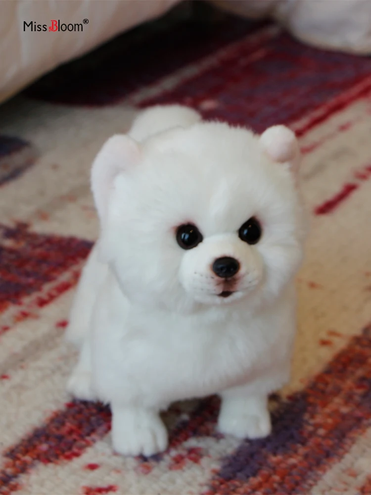 Pomeranian Toy Toys And Hobbies Aliexpress