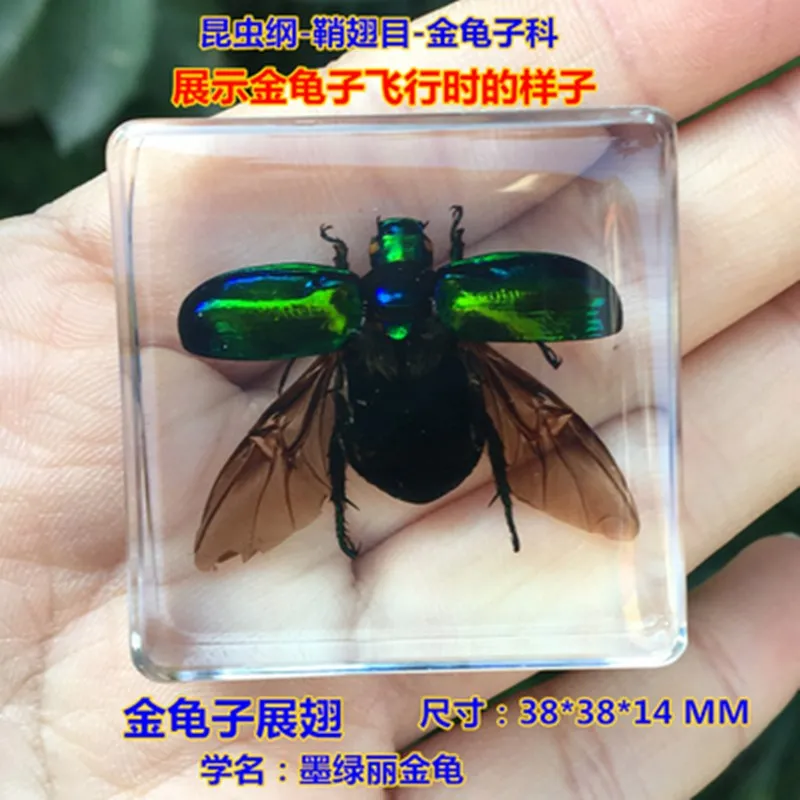 %]GDC3S4J(LS}SQ$M1}9DF7_副本