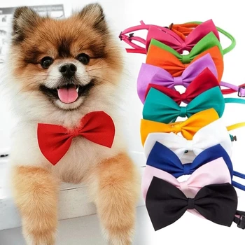 Adjustable Pet Bow Tie Collar dogs and cats 3