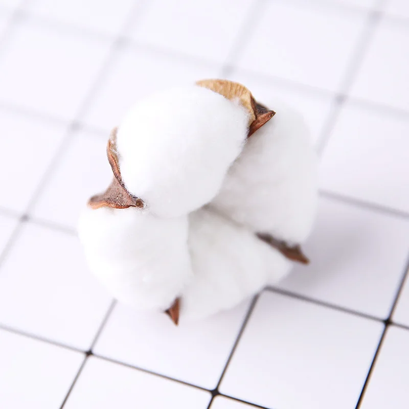 12403813494_1180193642