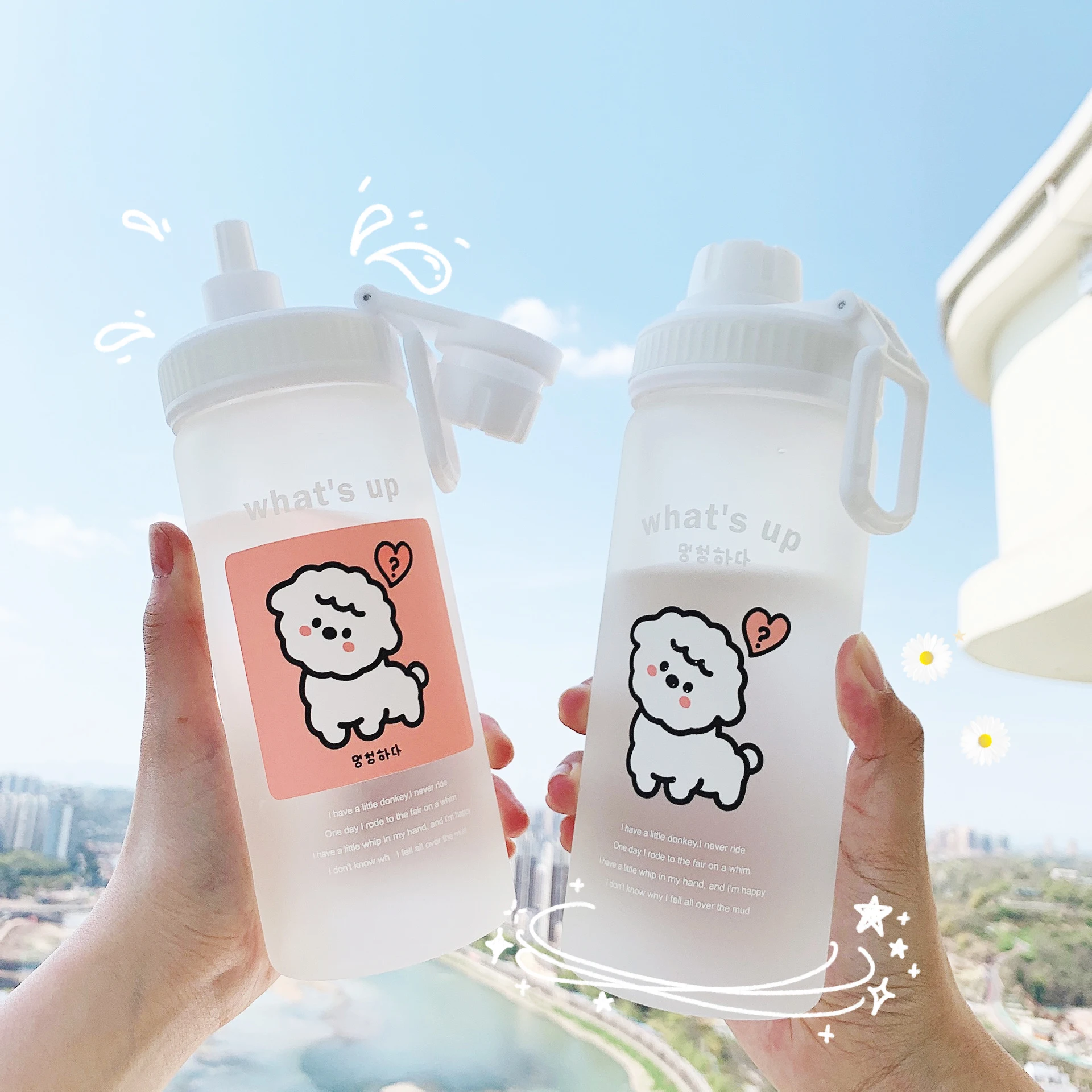 500ML Pretty Kawaii Bottle Portable Clear Milk Carton Water Bottle Cute