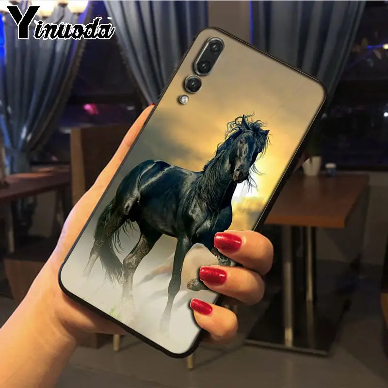 Hot running Horses animal