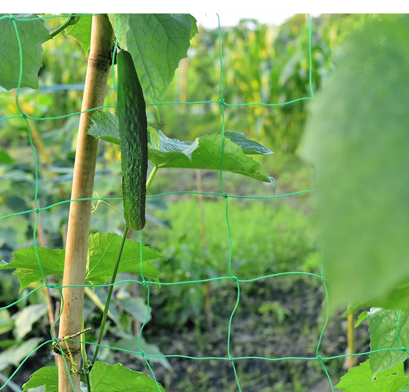 O1CN01wMuZCQ1JMuXlmcO7C_!!1602131015