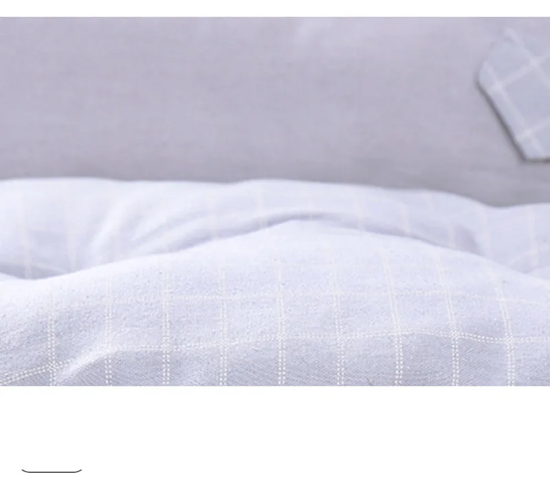 11695868302_1018927988