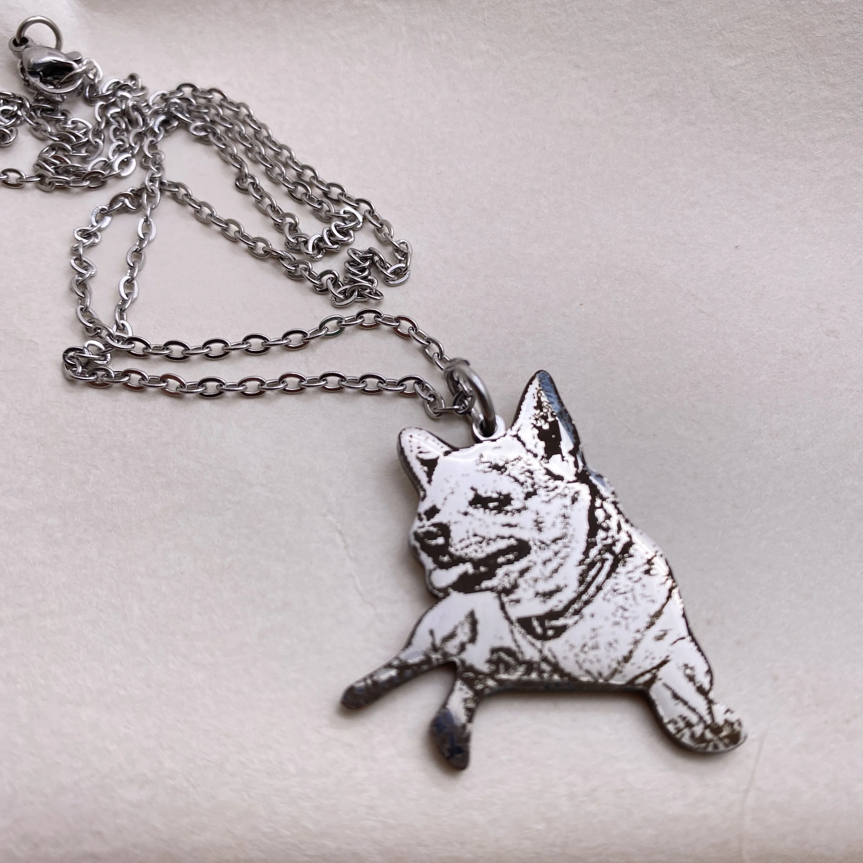 Personalized Custom Animal Photo Necklace for Men Women Stainless Steel Custom Name Pendant Necklaces Jewelry Birthday Gift