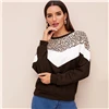SHEIN контрастный цветной блок, принт, Повседневный свитер для женщин, пуловер, топы, осень, длинный рукав, базовые женские модные толстовки