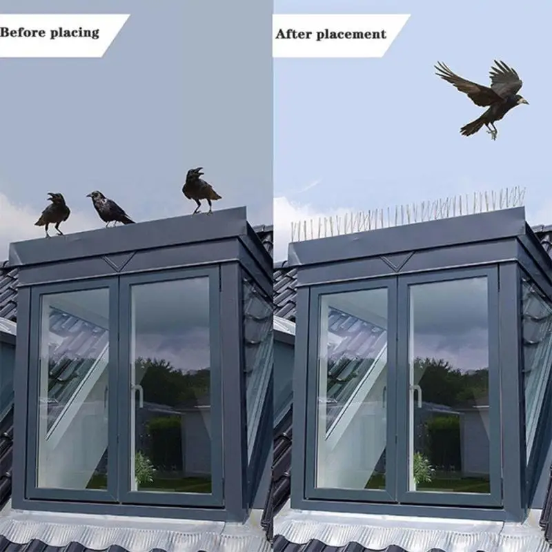 Stainless Steel Bird Repellent Spikes Ecofriendly Anti Pigeon