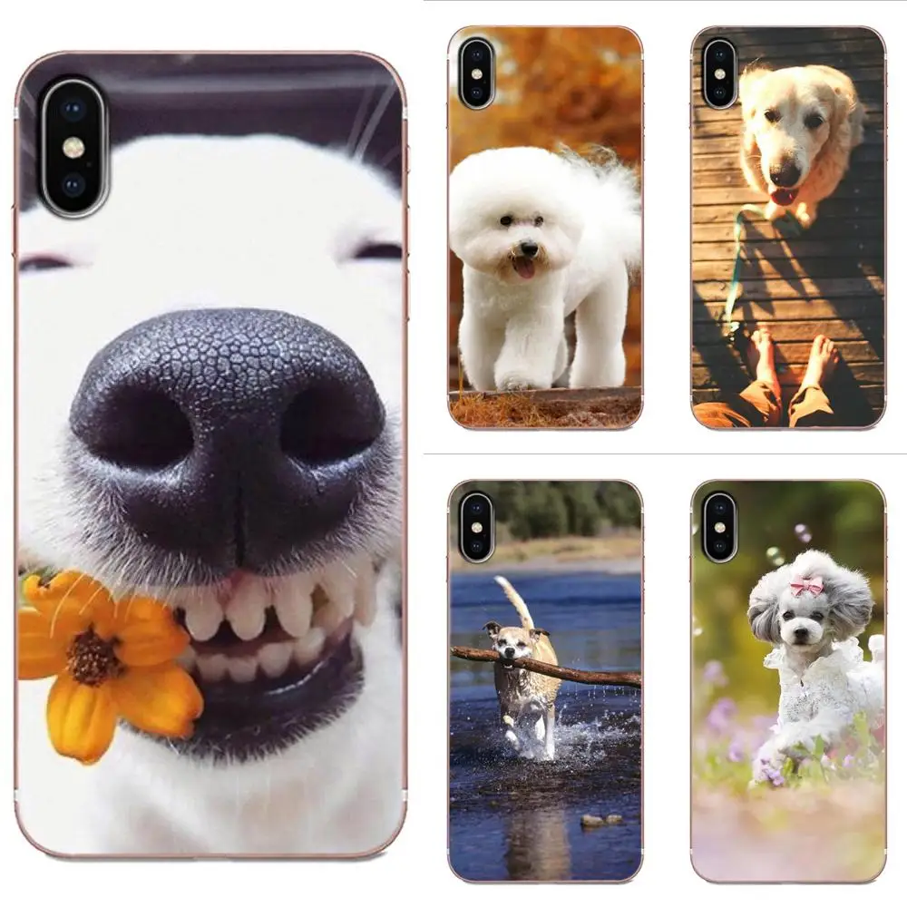 Мягкий чехол из ТПУ для Samsung Galaxy A71 A51 A50 A50S A30S A40 A30 A20 A10 A01 A20s | Мобильные телефоны и