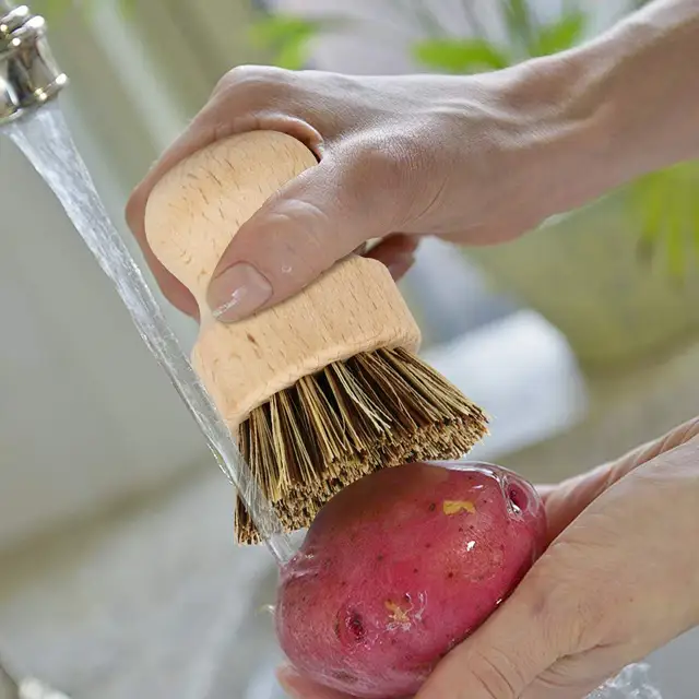 Kitchen Brush Heads 5 Pcs Scrub Brush Plant Based Cleaning Brush Set Dish Vegetable Cleaning Bathroom Kitchen Cleaning Tools Set 5