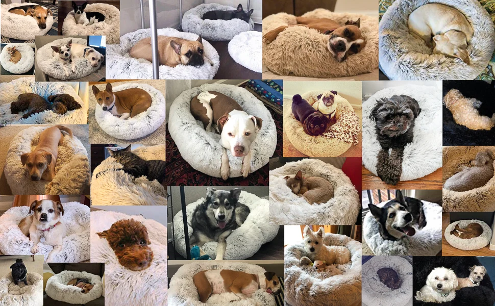 c16d8d0a-391a-4520-8c30-8e35d37de427.__CR0,0,970,600_PT0_SX970_V1___