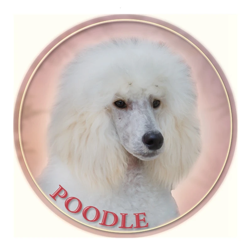 

S40339# Various Sizes PVC Decal Poodle Dog Car Sticker Waterproof For Bumper Rear Window Laptop Refrigerator Toilet