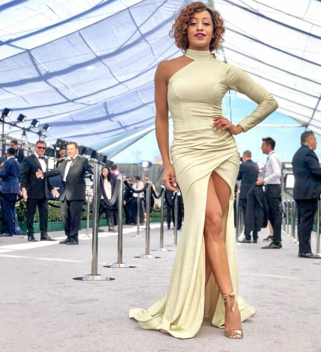

Elegant Long Sleeve High Neck One Shoulder Celebrity Dresses Mermaid Pleated Stretchy Slit Abendkleid Robes de Soirée for Women