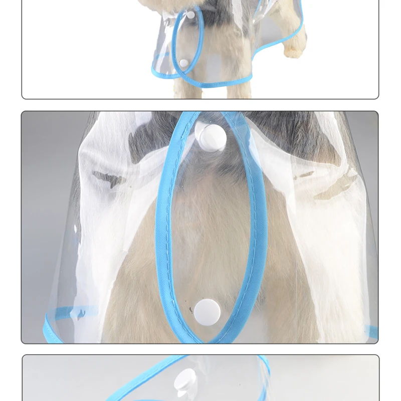 9003437834_489432622