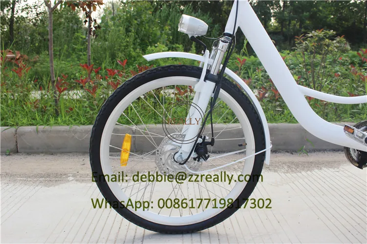 tricycle bike (9)