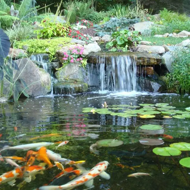 20Db Hat Szögű Hal Tó Nettó Védekező Tóhálók Műanyag Halvédők Professzionális Tóháló Otthoni Bolthoz (Fekete) - Image 4