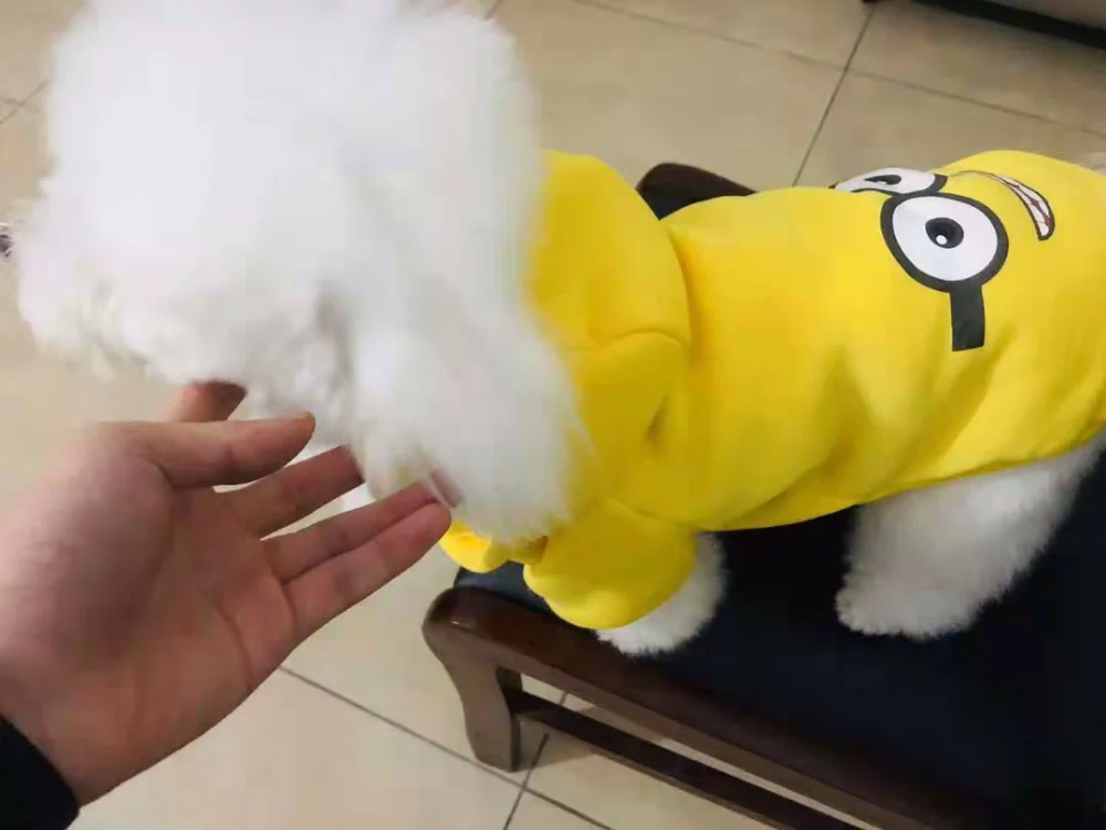 -1428103919