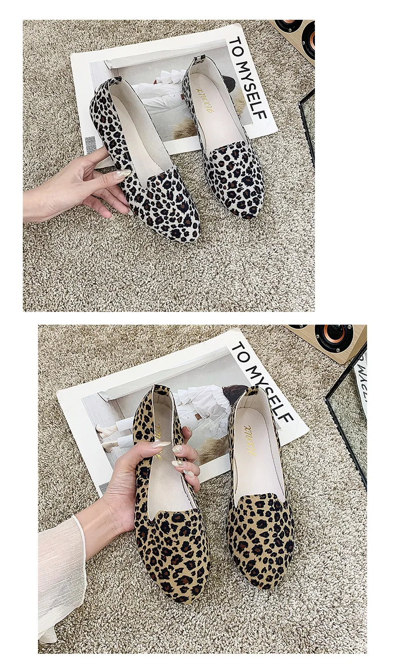 16232965853_1449906271