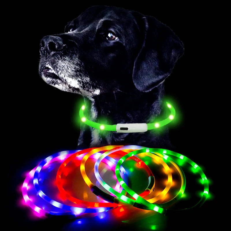 Collar De Perro Con Luces Para La Noche, 4 Modos, Luz Led