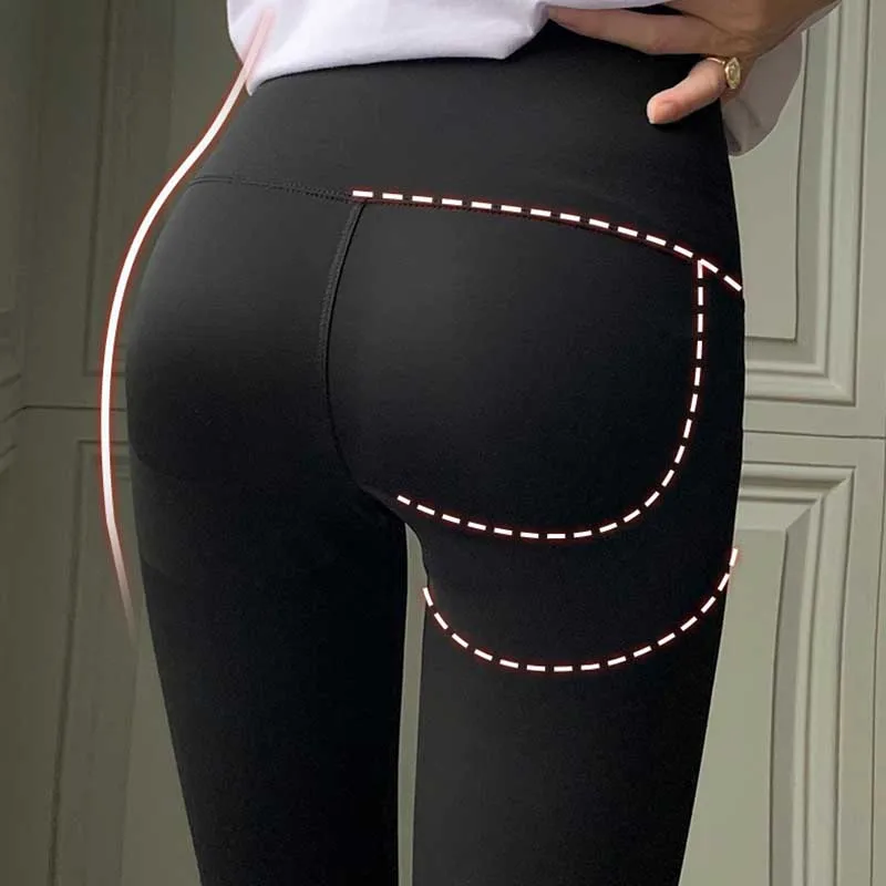   Ʈ ƮϽ 뽺 ,  Ǫþ, , ⼺,  ü 