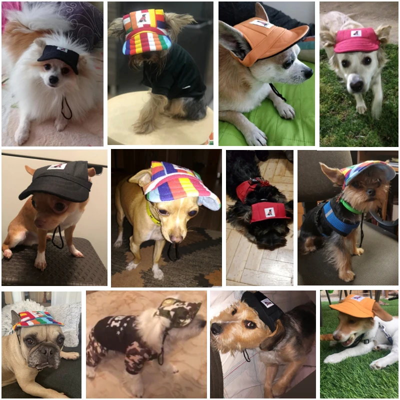 summer hats for dogs