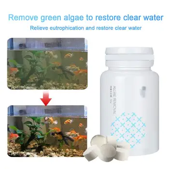 

Tank Moss Remover Aquarium Algaecide Algae Repellent Agent Tank Moss Remover Aquarium Algaecide Cleaning Tools