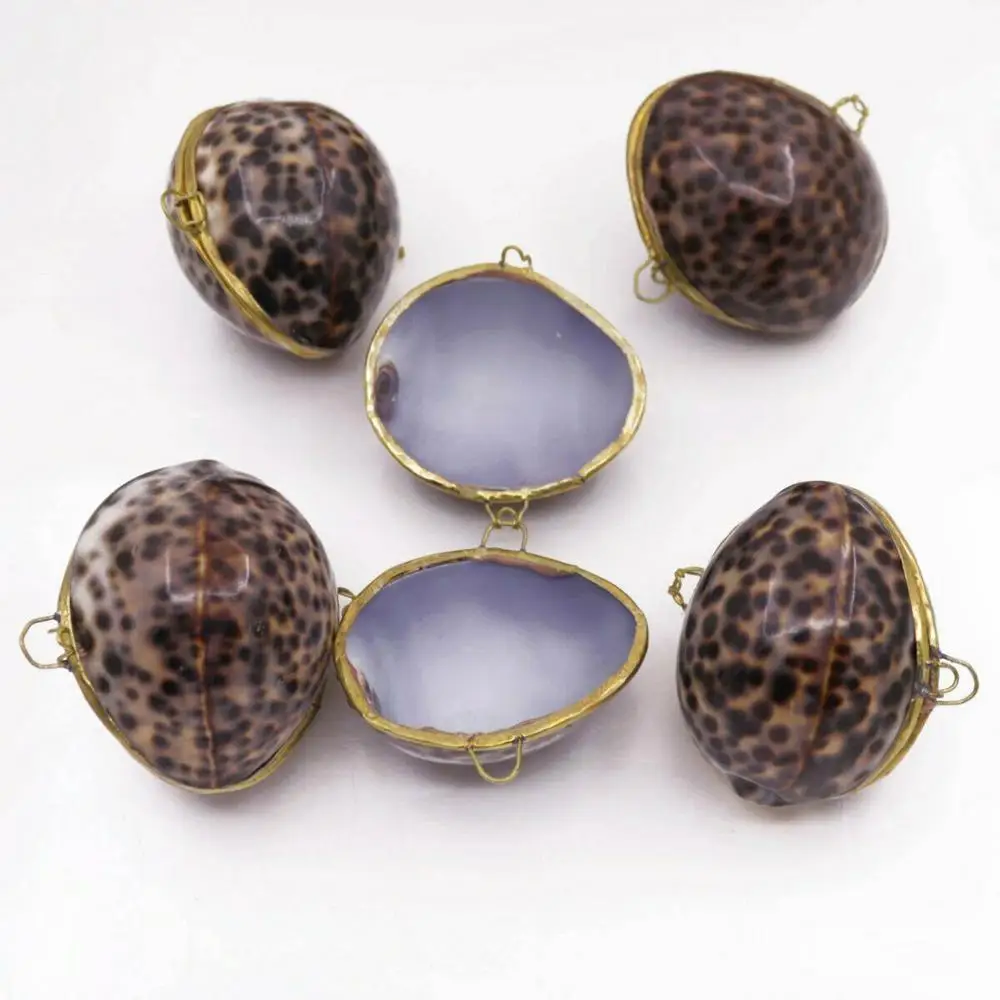 

5 PCS Natural Conch Shell Box Mother of Pearl Jewelry 2.36" 60mm
