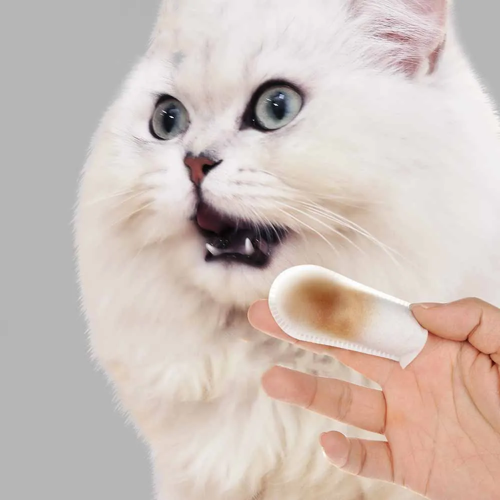 Aapet-cepillo de dientes desechable para Gato, limpiador de dientes de gato y gatito, guantes de Limpieza de dientes para perros y cachorros, Herramientas de limpieza de dientes, 50 unidades