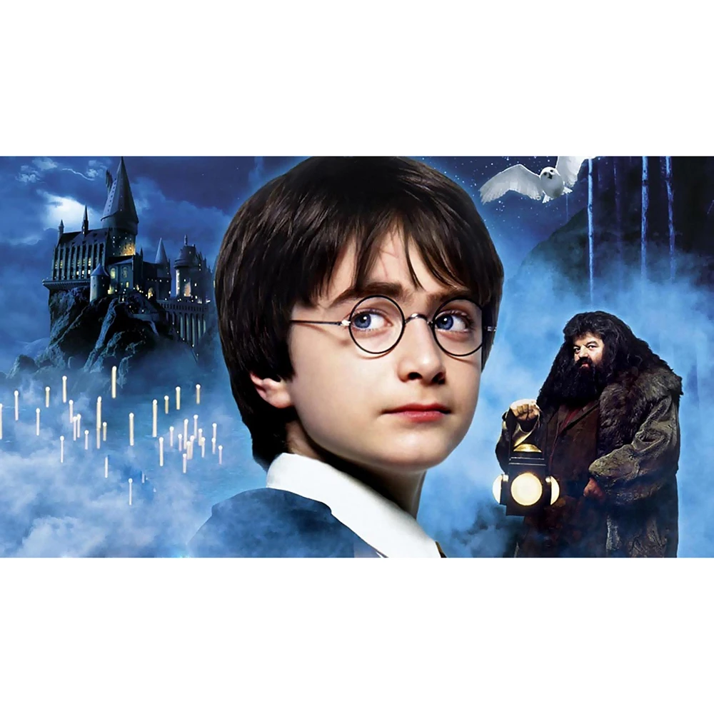 harry-potter-and-the-sorcerers-stone-harry-potter-2115832075 副本