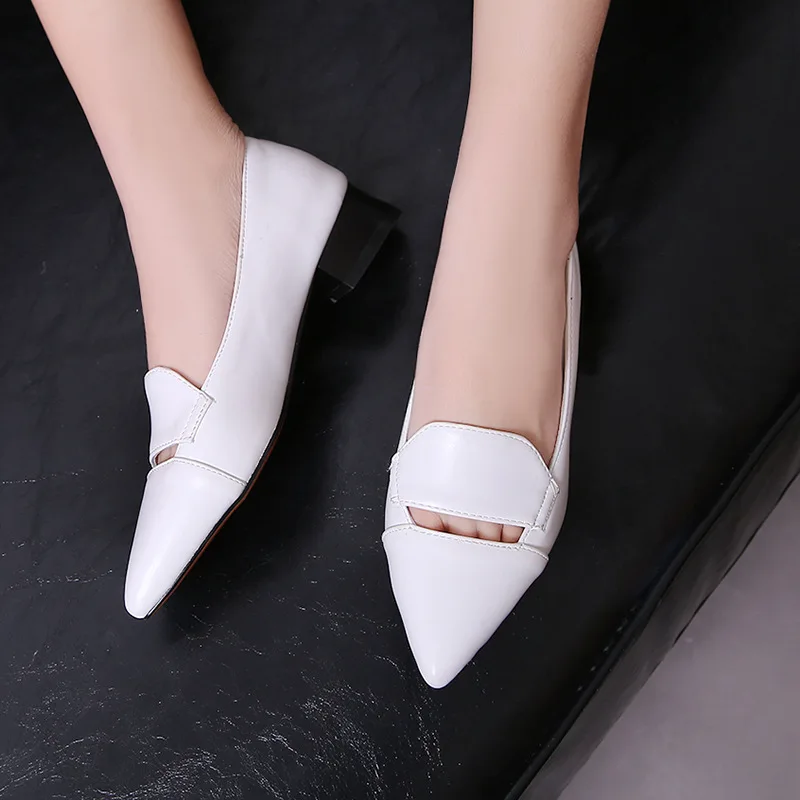 

Spring Summer New Style Korean-style Shallow Mouth Pointed Shoes Women's Chunky-Heel Spring And Autumn Versitile Fashion WOMEN'S