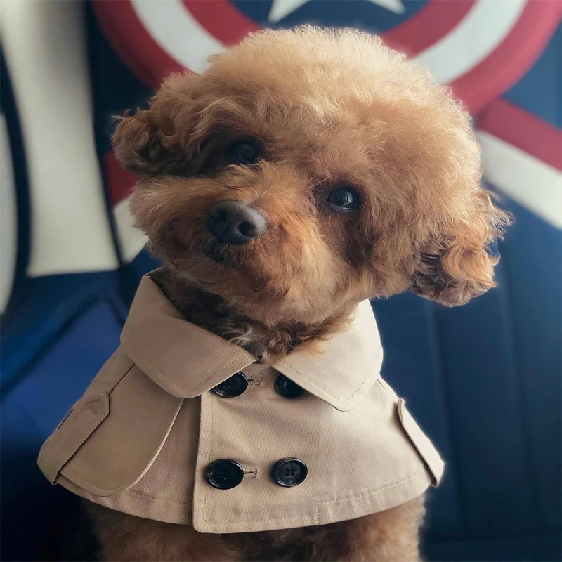 British Buttons Dog Clothes Autumn Pet Coat Brown Dog Christmas Cloak Warm Short Clothing Puppy Clothes Teddy Chihuahua Costume