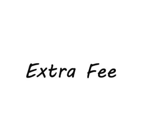 Extra-Fee-1.jpg_640x640